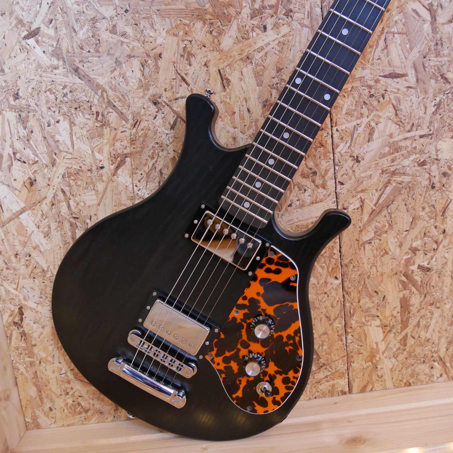 Wittgenstein-Gitarre